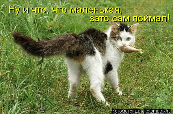 Котоматрица: Ну и что, что маленькая,  зато сам поймал!