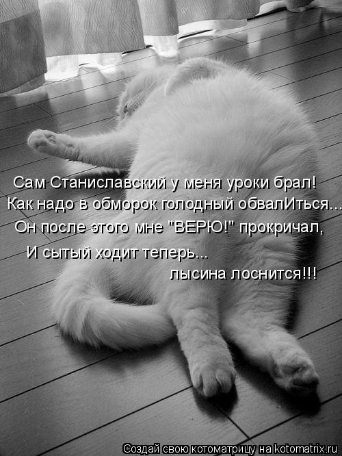 Котоматрица: Сам Станиславский у меня уроки брал! Как надо в обморок голодный обвалИться... Он после этого мне "ВЕРЮ!" прокричал, И сытый ходит теперь...   лы