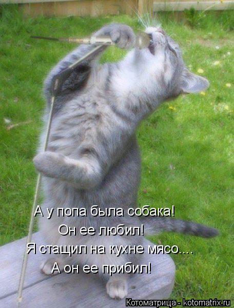 Котоматрица: А у попа была собака! Он ее любил! Я стащил на кухне мясо.... А он ее прибил!