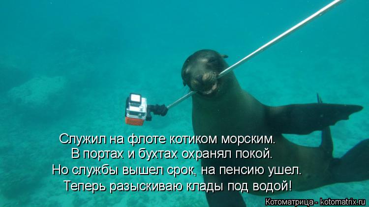 Котоматрица: Теперь разыскиваю клады под водой! В портах и бухтах охранял покой. Но службы вышел срок, на пенсию ушел. Служил на флоте котиком морским.