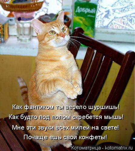 Котоматрица: Как фантиком ты весело шуршишь! Как будто под полом скребется мышь! Мне эти звуки всех милей на свете! Почаще ешь свои конфеты!