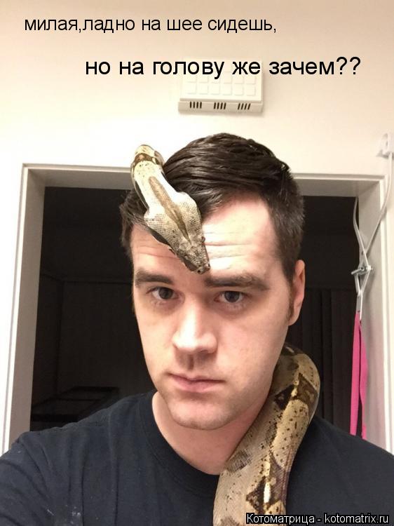 Котоматрица: милая,ладно на шее сидешь, но на голову же зачем??