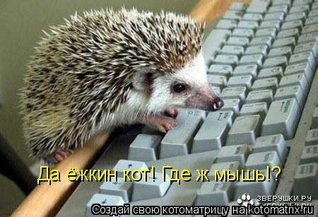 Да ёжкин кот! Где ж мышь!?... Котоматрица: Да ёжкин кот! Где ж мышь!?