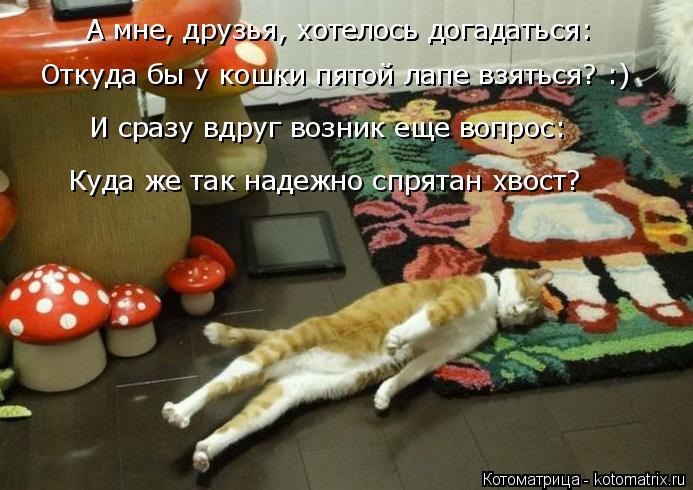 Котоматрица: А мне, друзья, хотелось догадаться: Откуда бы у кошки пятой лапе взяться? :) И сразу вдруг возник еще вопрос: Куда же так надежно спрятан хвост