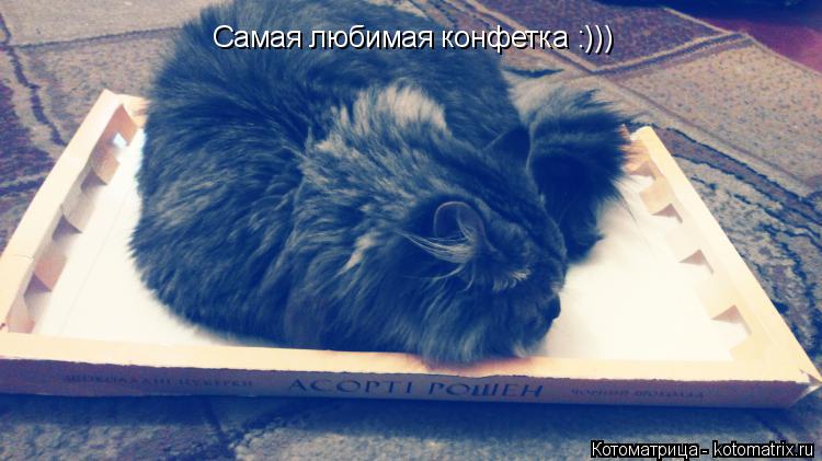 Котоматрица: Самая любимая конфетка :)))