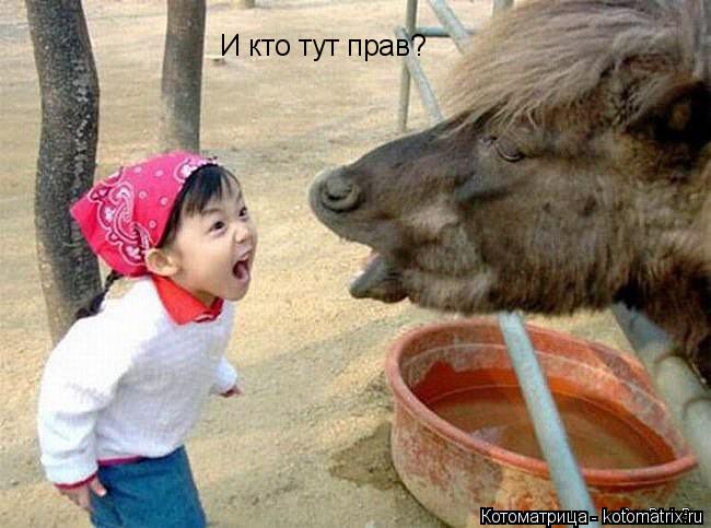 Котоматрица: И кто тут прав?