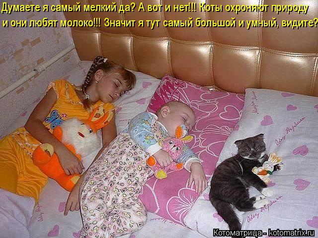 Котоматрица: Думаете я самый мелкий да? А вот и нет!!! Коты охроняют природу и они любят молоко!!! Значит я тут самый большой и умный, видите?