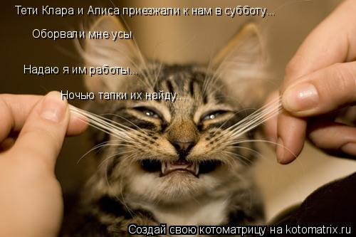 Тети Клара и Алиса приезжали к нам в субботу... Надаю я им работы... Оборвали мне усы Ночью тапки их ... Котоматрица: Тети Клара и Алиса приезжали к нам в субботу... Надаю я им работы... Оборвали мне усы Ночью тапки их найду...