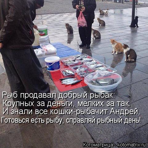 Котоматрица: Рыб продавал добрый рыбак: Крупных за деньги, мелких за так. И знали все кошки-рыбачит Андрей, Готовься есть рыбу, справляй рыбный день!