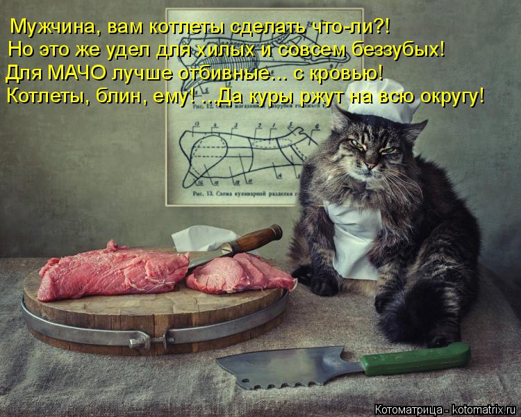 Котоматрица: Мужчина, вам котлеты сделать что-ли?! Но это же удел для хилых и совсем беззубых! Для МАЧО лучше отбивные... с кровью! Котлеты, блин, ему! ...Да ку