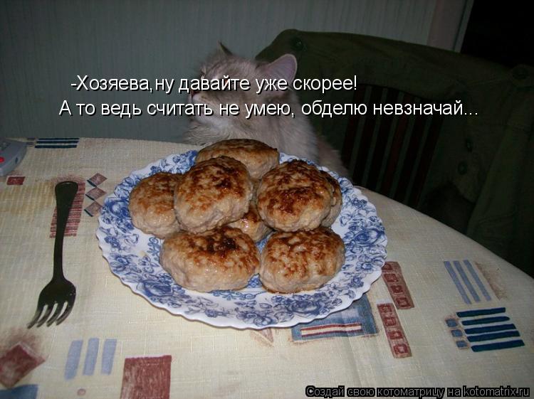 Котоматрица: -Хозяева,ну давайте уже скорее! А то ведь считать не умею, обделю невзначай...