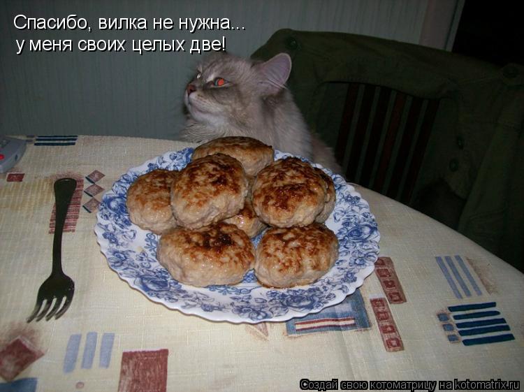Котоматрица: Спасибо, вилка не нужна... у меня своих целых две!