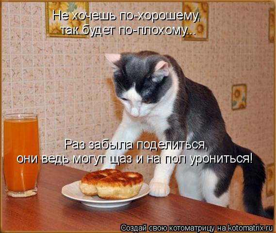 Котоматрица: Не хочешь по-хорошему,  так будет по-плохому... Раз забыла поделиться,  они ведь могут щаз и на пол урониться!