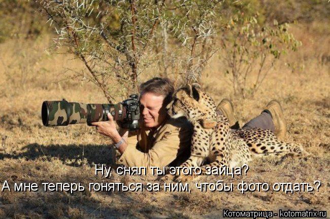Котоматрица: Ну, снял ты этого зайца? А мне теперь гоняться за ним, чтобы фото отдать?