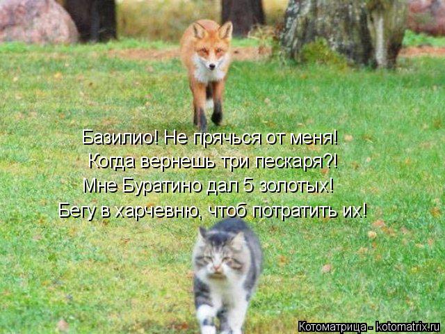 Котоматрица: Базилио! Не прячься от меня! Когда вернешь три пескаря?! Мне Буратино дал 5 золотых! Бегу в харчевню, чтоб потратить их!