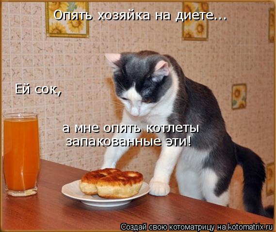 Котоматрица: Опять хозяйка на диете... Ей сок,  а мне опять котлеты  запакованные эти!