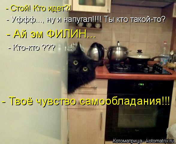 - Стой! Кто идет?! - Уффф..., ну и напугал!!!! Ты кто такой-то? - Ай эм ФИЛИН... - Кто-кто ??? - Твоё... Котоматрица: - Стой! Кто идет?! - Уффф..., ну и напугал!!!! Ты кто такой-то? - Ай эм ФИЛИН... - Кто-кто ??? - Твоё чувство самообладания!!!