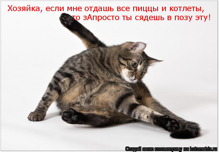 Котоматрица: Хозяйка, если мне отдашь все пиццы и котлеты, то зАпросто ты сядешь в позу эту!