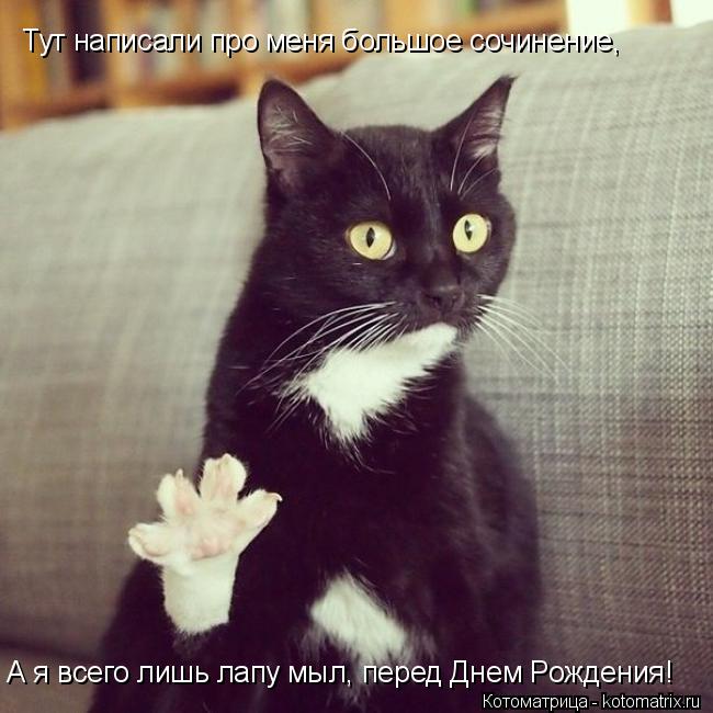 Котоматрица: Тут написали про меня большое сочинение, А я всего лишь лапу мыл, перед Днем Рождения!