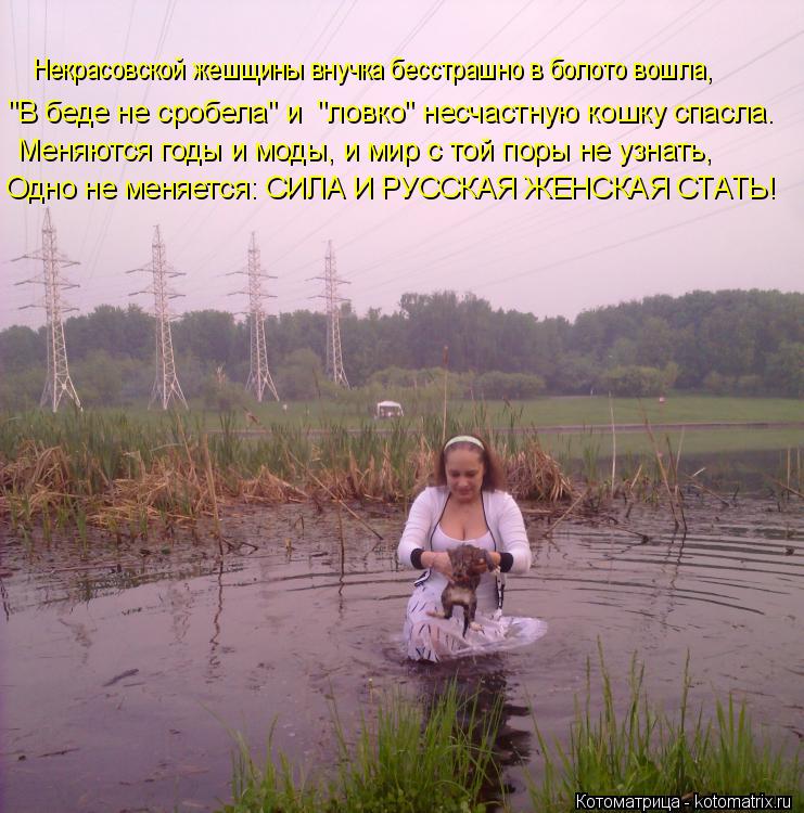 Котоматрица: Некрасовской жешщины внучка бесстрашно в болото вошла, "В беде не сробела" и  "ловко" несчастную кошку спасла. Меняются годы и моды, и мир с то