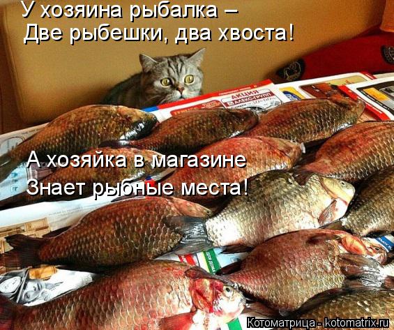 Котоматрица: У хозяина рыбалка –  Две рыбешки, два хвоста! А хозяйка в магазине  Знает рыбные места!