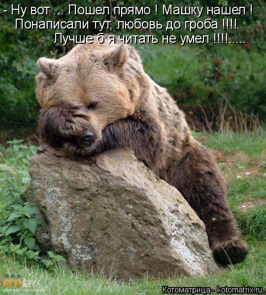 Котоматрица: - Ну вот ... Пошел прямо ! Машку нашел ! Понаписали тут, любовь до гроба !!!! Лучше б я читать не умел !!!!.....