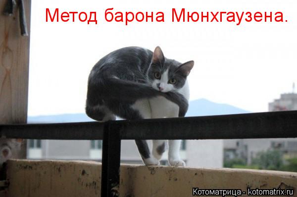 Котоматрица: Метод барона Мюнхгаузена.