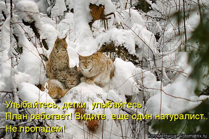 Котоматрица: Улыбайтесь, детки, улыбайтесь! План работает! Видите, еще один натуралист... Не пропадем!