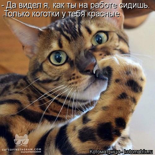 Тебя а не сметану стих Тебя а не сметану стих