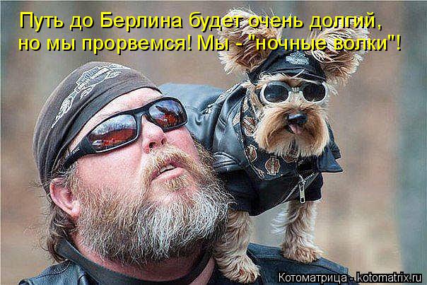 Котоматрица: Путь до Берлина будет очень долгий, но мы прорвемся! Мы - "ночные волки"!