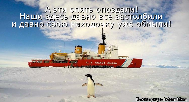 Котоматрица: А эти опять опоздали! Наши здесь давно все застолбили и давно свою находочку уже обмыли!