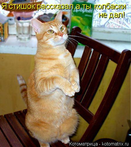 Котоматрица: Я стишок рассказал,а ты колбаски  не дал!