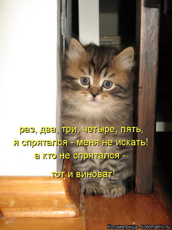 Котоматрица: раз, два, три, четыре, пять, я спрятался - меня не искать! а кто не спрятался - тот и виноват!