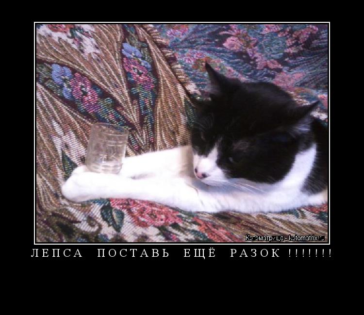 ЛЕПСА ПОСТАВЬ ЕЩЁ РАЗОК !!!!!!! ... Котоматрица: ЛЕПСА ПОСТАВЬ ЕЩЁ РАЗОК !!!!!!!