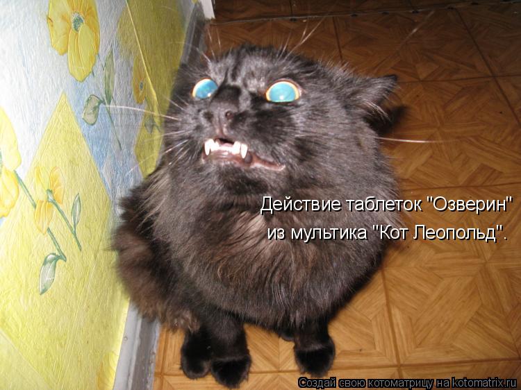 Действие таблеток "Озверин" из мультика "Кот Леопольд".... Котоматрица: Действие таблеток "Озверин" из мультика "Кот Леопольд".
