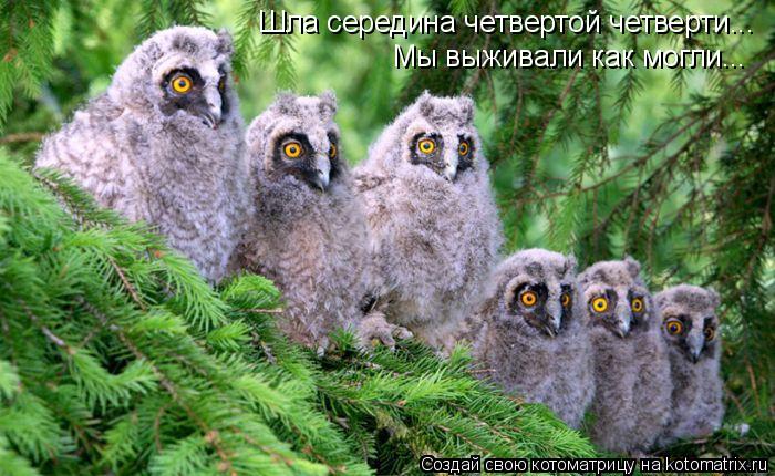 Шла середина четвертой четверти... Мы выживали как могли...... Котоматрица: Шла середина четвертой четверти... Мы выживали как могли...