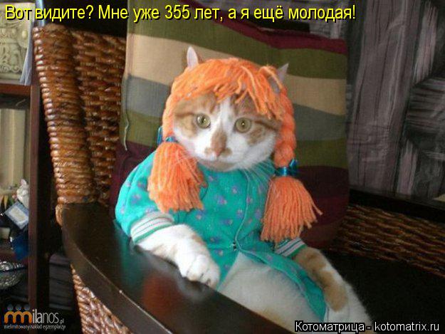 Котоматрица: Вот видите? Мне уже 355 лет, а я ещё молодая!
