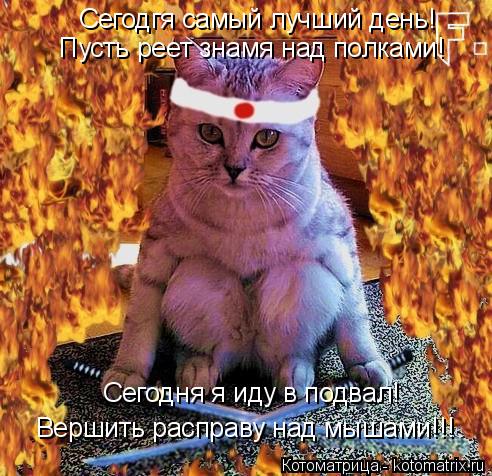 Сегодгя самый лучший день! Пусть реет знамя над полками! Сегодня я иду в подвал! Вершить расправу над... Котоматрица: Сегодгя самый лучший день! Пусть реет знамя над полками! Сегодня я иду в подвал! Вершить расправу над мышами!!!