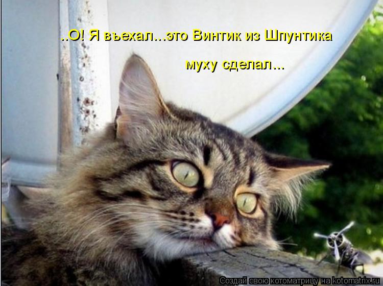 ..О! Я въехал...это Винтик из Шпунтика муху сделал...... Котоматрица: ..О! Я въехал...это Винтик из Шпунтика муху сделал...