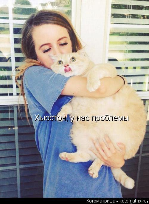 Котоматрица: Хьюстон, у нас проблемы.
