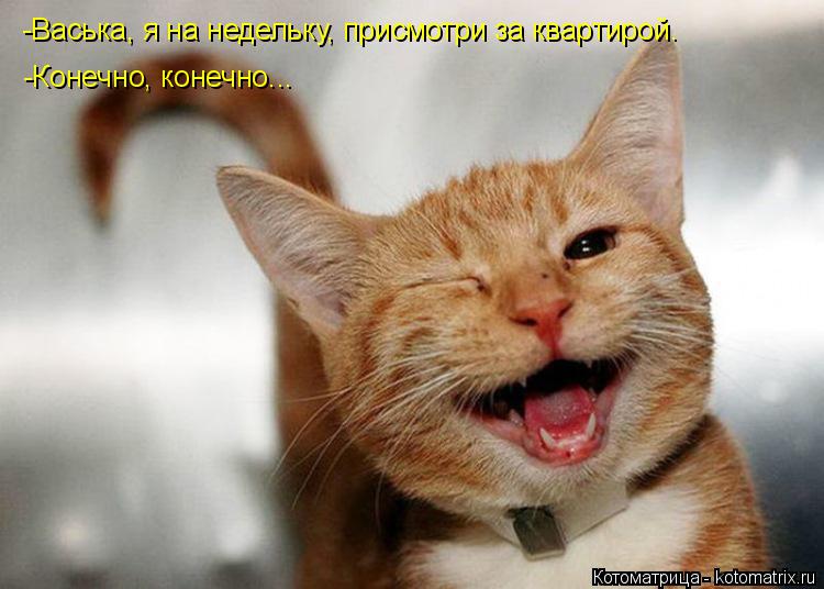 -Конечно, конечно... -Васька, я на недельку, присмотри за квартирой.... Котоматрица: -Конечно, конечно... -Васька, я на недельку, присмотри за квартирой.