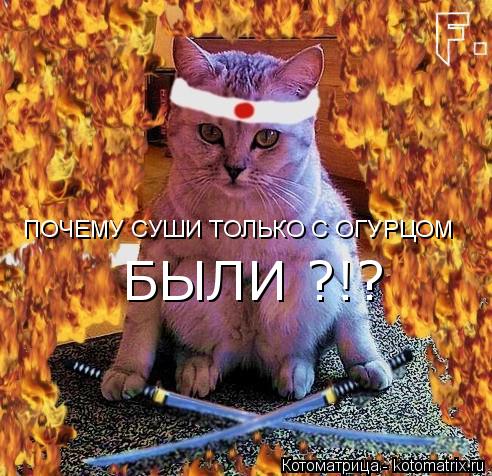 Котоматрица: ПОЧЕМУ СУШИ ТОЛЬКО С ОГУРЦОМ БЫЛИ ?!?