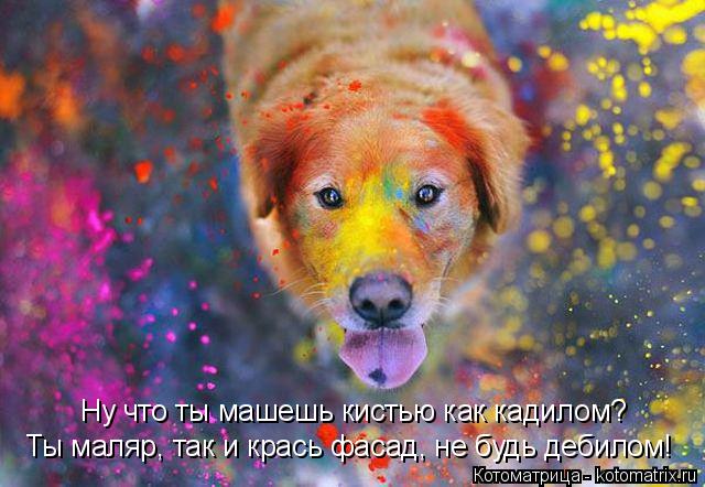 Ну что ты машешь кистью как кадилом? Ты маляр, так и крась фасад, не будь дебилом!... Котоматрица: Ну что ты машешь кистью как кадилом? Ты маляр, так и крась фасад, не будь дебилом!