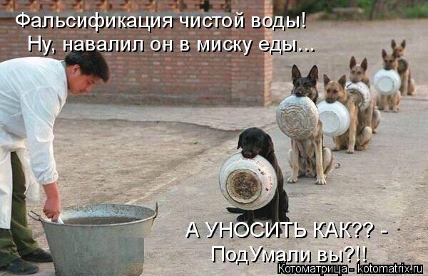 Фальсификация чистой воды! Ну, навалил он в миску еды... А УНОСИТЬ КАК?? - ПодУмали вы?!!... Котоматрица: Фальсификация чистой воды! Ну, навалил он в миску еды... А УНОСИТЬ КАК?? - ПодУмали вы?!!