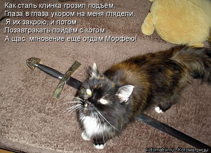Как сталь клинка грозил подъём, Глаза в глаза укором на меня глядели, Я их закрою, и потом Позавтрака... Котоматрица: Как сталь клинка грозил подъём, Глаза в глаза укором на меня глядели, Я их закрою, и потом Позавтракать пойдём с котом А щас мгновение ещё от