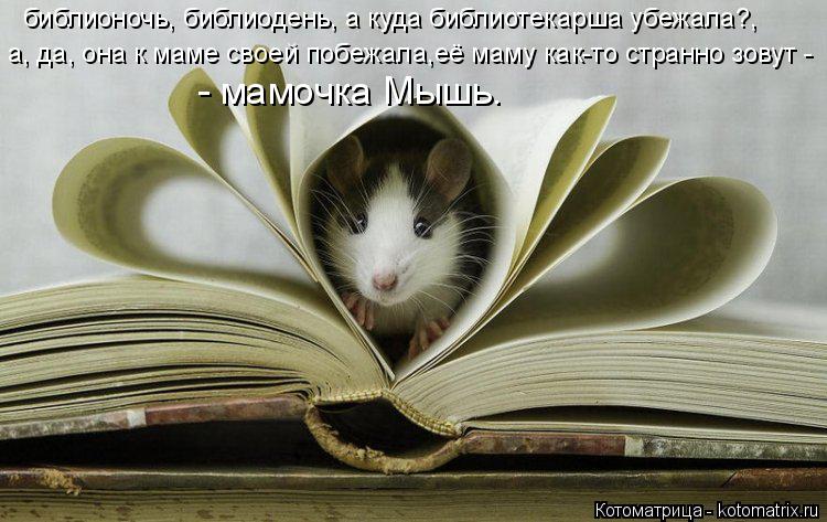 библионочь, библиодень, а куда библиотекарша убежала?, а, да, она к маме своей побежала,её маму как-т... Котоматрица: библионочь, библиодень, а куда библиотекарша убежала?, а, да, она к маме своей побежала,её маму как-то странно зовут - - мамочка Мышь.