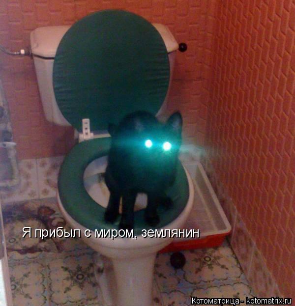 Котоматрица: Я прибыл с миром, землянин