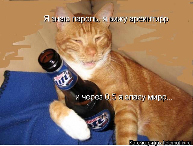 Котоматрица: и через 0,5 я спасу мирр... Я знаю пароль, я вижу ареинтирр