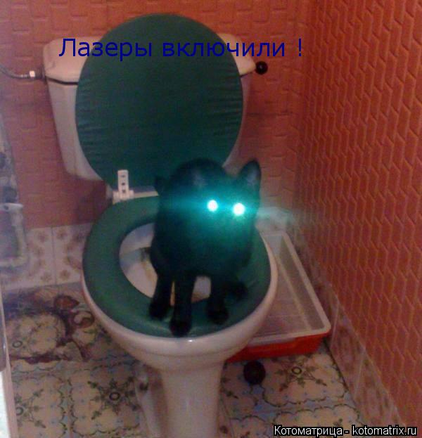 Лазеры включили !... Котоматрица: Лазеры включили !