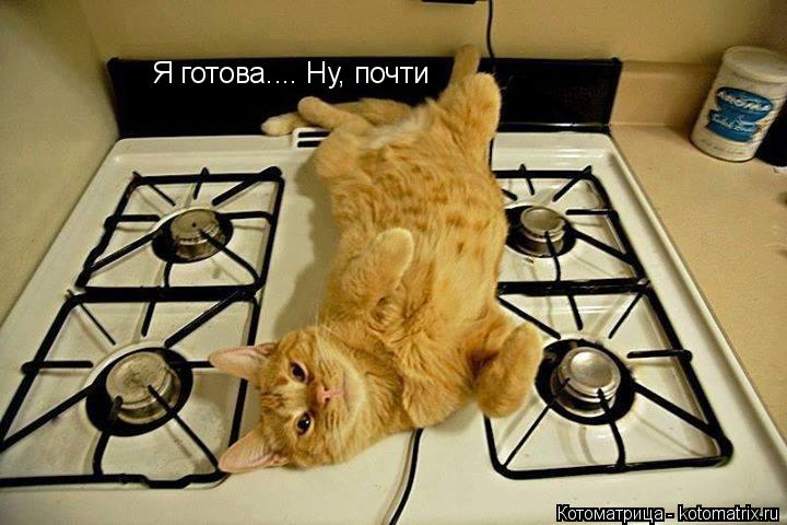Котоматрица: Я готова.... Ну, почти